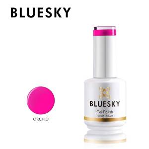 Bluesky Orchid 