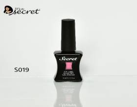 Secret Gel Polish S019