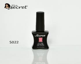 Secret Gel Polish S022