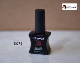 Secret Gel Polish S073