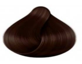 4.19 ICE CHESTNUT