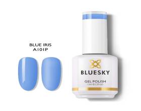 Bluesky A101