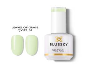 Bluesky QXG710