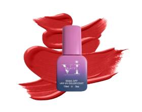 Beauty VI 786