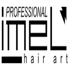 logoimel-393x154-300x300